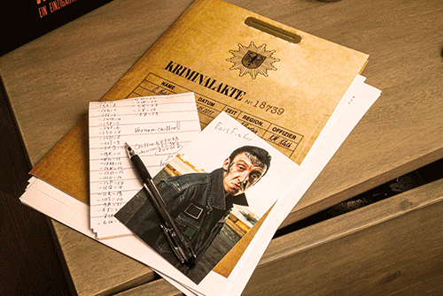 Murder Mystery Party Case Files: Fire in Adlerstein for 1 or More Players Ages 14 and Up : Everything Else