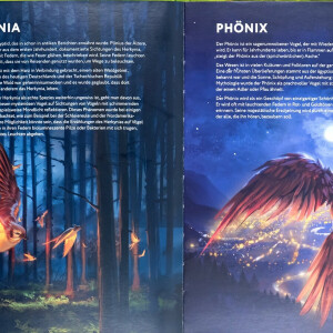 Artbook Cryptic Nature Deutsch