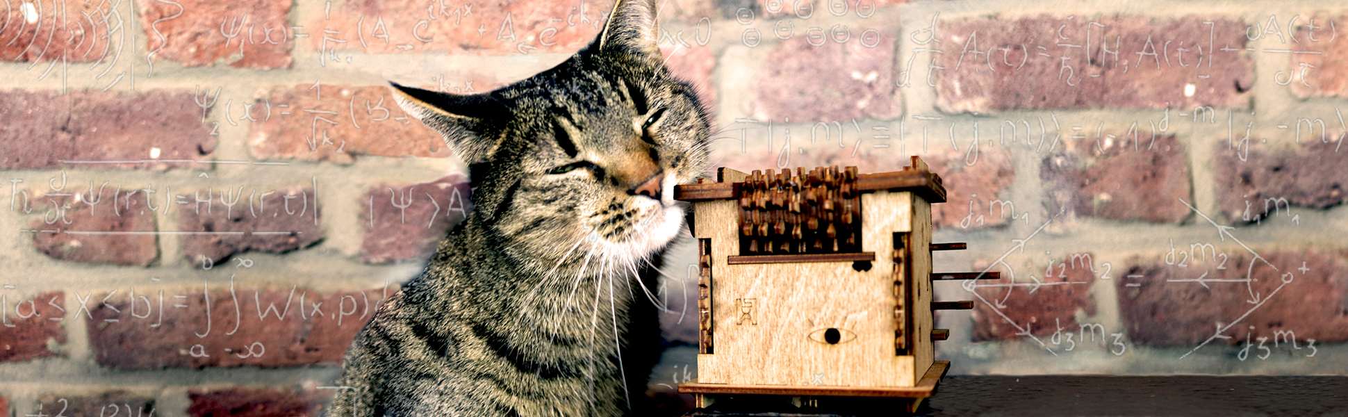 Schrödinger's Cat Cluebox - Box Day